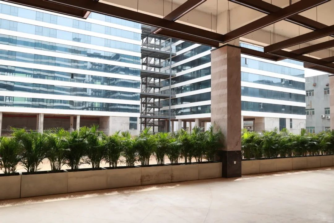 1692261476806807.jpg 1692261469(1).jpg