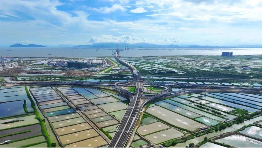 重磅官宣!鹤港高速即刻通车!